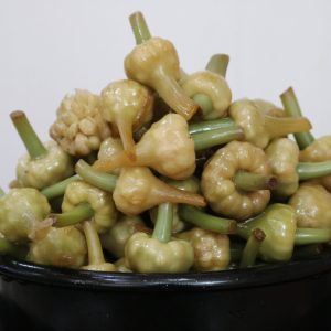 گل سیر سرکه سفید