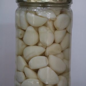 سیر صدفی 600 گرمی
