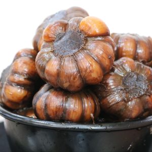 سیر کهنه